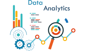 Data Analyst